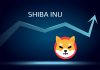 Co to jest SHIBA INU (SHIB)? Shiba Inu