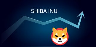 Co to jest SHIBA INU (SHIB)? Shiba Inu