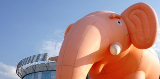 Pneumatyczne balony reklamowe – dmuchane repliki produktów słoń balon pneumatyczny