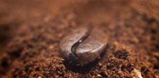 Dlaczego warto kupić kawę ziarnistą w specjalistycznym sklepie z kawą? ziarenko kawy