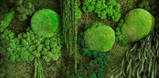 Lasy w słoikach, kokedamy, obrazy z mchu oraz inne, wyjątkowe dekoracje roślinne – jak je wykonać? obrazy z mchu