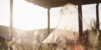 Zastosowania nowoczesnej moskitiery zastosowania moskitiery