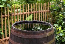 Jak wykorzystać deszczówkę i jak ją gromadzić? beczka na deszczówkę