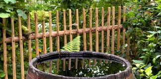 Jak wykorzystać deszczówkę i jak ją gromadzić? beczka na deszczówkę