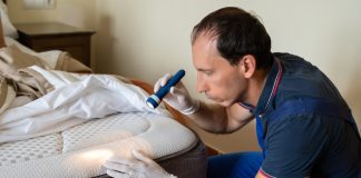 Jak zwalczyć pluskwy domowe? pluskwy w materacu