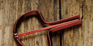 Drumla – poręczny instrument o ogromnych możliwościach drumla