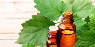 Jakie są właściwości paczuli? olejek z paczuli