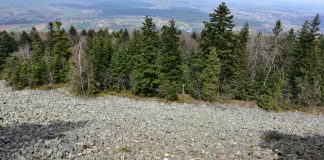 Co zobaczyć w Górach Świętokrzyskich? Łysica, punkt widokowy, gołoborze, Góry Świętokrzyskie