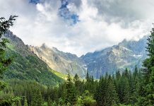 Luksusowy hotel Zakopane – na co zwrócić uwagę zakopane hotel