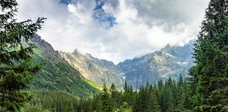 Luksusowy hotel Zakopane – na co zwrócić uwagę zakopane hotel