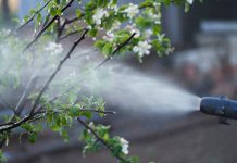 Skąd wziąć prąd na działce? prąd na działce