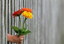 Pomysły na prezent urodzinowy dla koleżanki prezent dla koleżanki