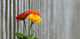 Pomysły na prezent urodzinowy dla koleżanki prezent dla koleżanki