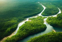 Zrozumienie ekosystemów i interakcji międzygatunkowych ekosystem