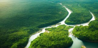 Zrozumienie ekosystemów i interakcji międzygatunkowych ekosystem