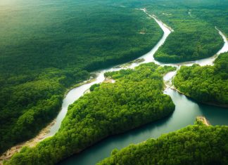 Zrozumienie ekosystemów i interakcji międzygatunkowych ekosystem
