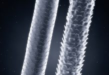 Jak pielęgnować włosy o wysokim stopniu porowatości? To trzeba wiedzieć! włosy wysokoporowate