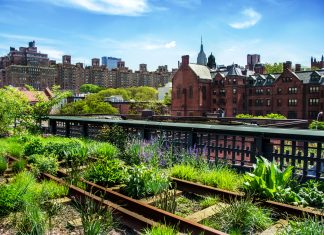 Urban gardening – jak stworzyć ogród w mieście? urban gardening