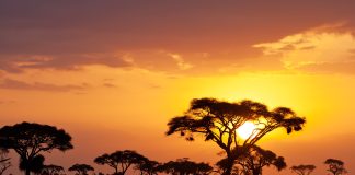 Kenia na zimowe wakacje. Sprawdź, co oferuje Kenia Afryka