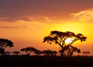 Kenia na zimowe wakacje. Sprawdź, co oferuje Kenia Afryka