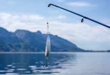 Czy warto zacząć wędkować? wędkowanie