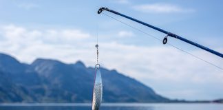 Czy warto zacząć wędkować? wędkowanie