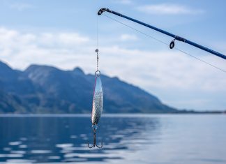 Czy warto zacząć wędkować? wędkowanie