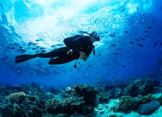 Podróże związane z nauką nurkowania wielka rafa koralowa nurkowanie