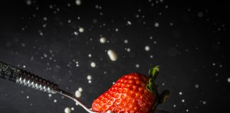 Fotografia makro: odkrywanie detali Makrofoto