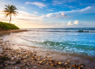 Jamajka – roztańczona wyspa słońca