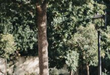 Dlaczego kurtki motocyklowe Rebelhorn to doskonały wybór dla każdego motocyklisty? kurtka motocyklowa