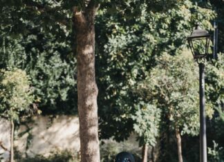 Dlaczego kurtki motocyklowe Rebelhorn to doskonały wybór dla każdego motocyklisty? kurtka motocyklowa